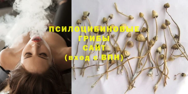 круглые Арсеньев